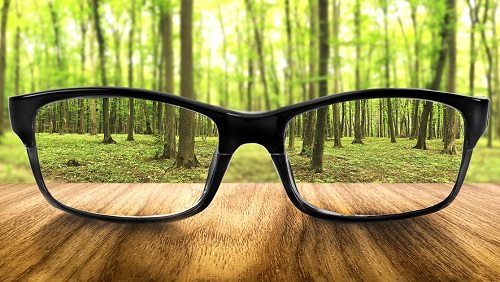 Clear forest in glasses on the background of blurred forest